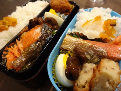 DSC04551.JPG